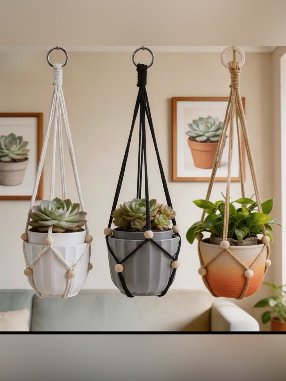 Set of 3 Hanging Macrame Plant Holders  - White, Black, Tan (pots not included)